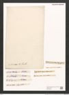 Nitzschia bilobata W. Sm. (de-Toni-Nr.: Genus 47, Species 2049) Zeichnungen Sammlung Grunow (NHMW-BOT-W0371880)
